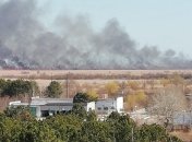 В Одесской области погашен масштабный пожар в лесном массиве 