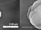 Какой вид у звездной пыли?