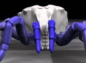 Ученые вернули к жизни древнего паука