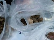 В Житомире киевлянин пытался перевезти около 4 кг янтаря