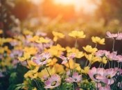 Василий-парильщик: приметы и обряды на 25 апреля