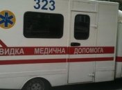 У Запоріжжі померла дівчинка, на яку впала скульптура в парку