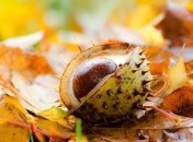 Синоптик рассказала, где в Украине завтра похолодает