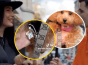 Коллаж "Телеграф"