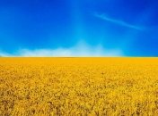 Украинцы променяли импорт на отечественные товары