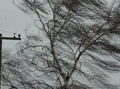 Почти сотня населенных пунктов в Украине остались без электричества