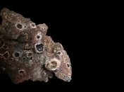 Метеорит с Марса продолжает раскрывать тайны планеты