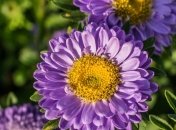 В начале сентября установится жара: прогноз погоды до конца недели 