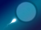 Уже покойный врач подменял донорскую сперму и стал "отцом" 49 детей