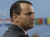 Сикорский прокомментировал амнистию террористов 