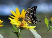 Какие завтра праздники: традиции и приметы на 30 июня