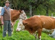 Ученые определили профессии, которые провоцируют развитие раковых опухолей