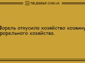 Позитивное утро: уморительные анекдоты 19 июля