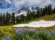 Где лучше отдыхать в апреле?