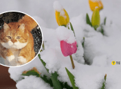 Похолодание весной