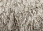 Лечебные свойства шерсти 