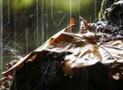 Погода на выходные: синоптики рассказали, где похолодает и пройдут дожди