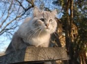 Синоптик рассказала, когда в Украину придет настоящие потепление 