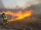 Пожары на лугах в Закарпатье угрожают лесам региона