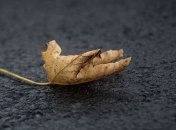 Ливень нанес Одесской области ущерб на 23 млн грн