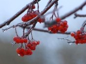 Потепление и мокрый снег: какими будут последние дни осени