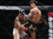 Во Франции запретили MMA