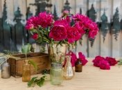 Пионы - один из самых красивых цветов