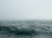 В океане найдено гигантское прозрачное яйцо (Видео)