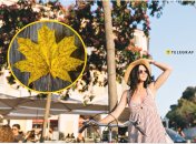 Осінь вже підкрадається до нашої країни