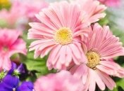 Поздравления с днем рождения: красивые открытки на 29 августа 