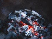 Не всі рослини можна удобрювати деревною золою