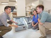 Ученые изобрели новый способ захвата раковых клеток