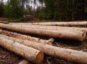 Україна та ЄС створили арбітражну групу для розгляду експорту лісу