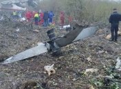 Авиакатастрофа под Львовом: Гончарук выразил соболезнования  