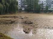 Во Львове фиксируют загрязнение воды и воздуха
