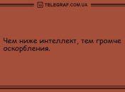 Улыбнись и не грусти: смешные анекдоты для хорошего начала дня