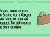Все хорошее начинается с улыбки: утренние анекдоты 24 мая
