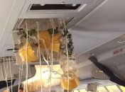 Аварийная посадка самолета в Германии, пострадало 30 пассажиров 