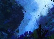 Обнаружено самое древнее многоклеточное существо