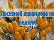 Лунный посевной календарь с 2 по 8 марта 2020 года