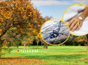 Жук може вкласти на лікарняне ліжко