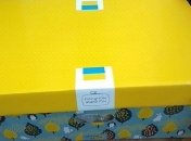 "Бэби-бокс" в Украине: стало известно, кто не получит пакет малыша
