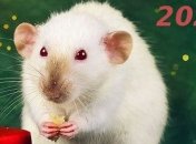 Приметы и суеверия: что нельзя делать в високосный 2020 год