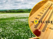 Прогноз погоды