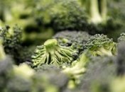 Новый сорт брокколи способствует укреплению здоровья