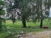 "Взрослые люди не помнят простых правил": под Черкассами молния убила двух человек