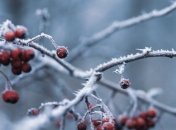 Какой праздник 17 февраля: народные приметы и запреты