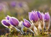 Что можно и нельзя делать 9 апреля