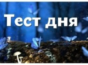 Тест по картинке - что может сказать о вас изображение