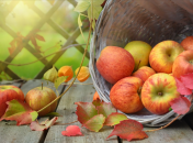 Потеплішає до +20°С, але ненадовго: синоптик дав прогноз на "старе бабине літо" в Україні